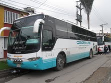 BUSES PARA VIAJES ESPECIALES 