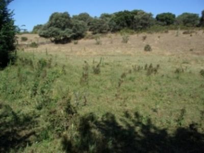 FINCA 1.8ha Nogocio, EXTREMADURA