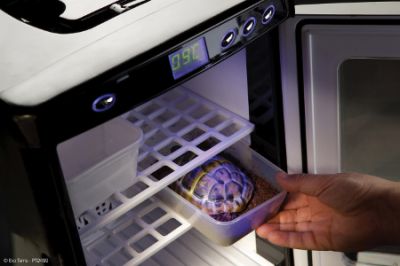 Incubadora termoel�ctrica para reptiles Incubator