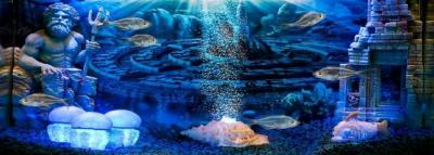 Atlantis Ciudad Sumergida Pez y medusa decoraci�n para acuarios