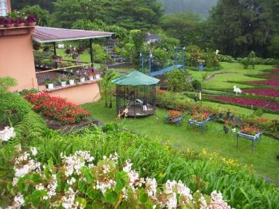 Jardineros para toda Tenerife, limpieza de jardines, mantenimiento de chalets, edificios, huertas, p
