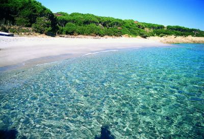 Alquilo apartamentos para vacaciones en la isla de Cerde�a, Italia.