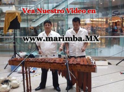 Marimbas DF contrate marimba chiapaneca para fiestas y eventos