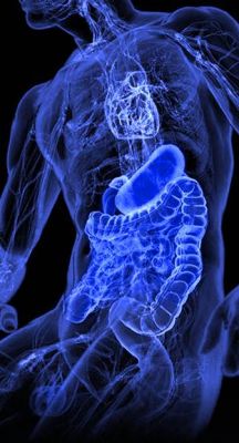 Hidrocolonterapia