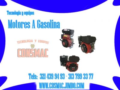 Vibrocompactadores De Placa Tipo Rana (medellin-antioquia)