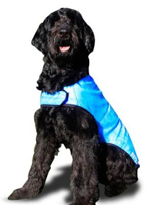 Camiseta refrescante protege a tu mascota del calor