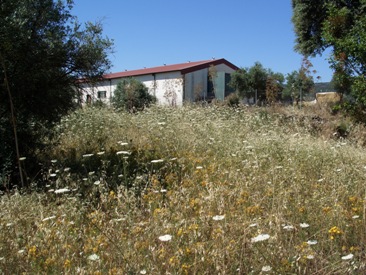 FINCA 6500mt2 Recreo EXTREMADURA