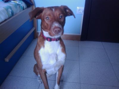 Lui busca una nueva