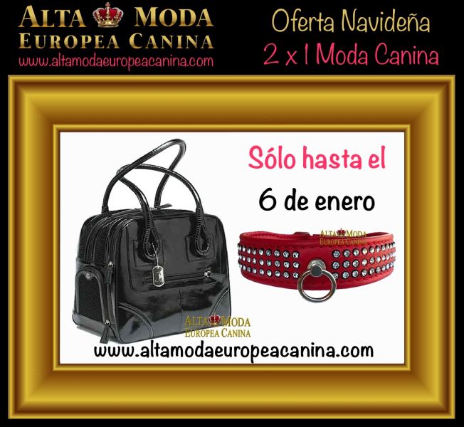 Ofertas en Moda Canina de Lujo