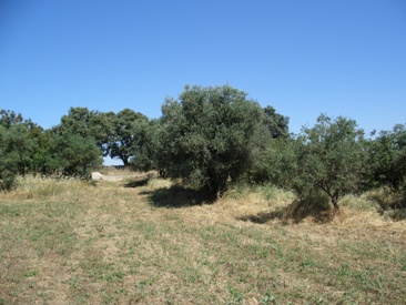 6500mt2 Rustica Ideal Recreo 