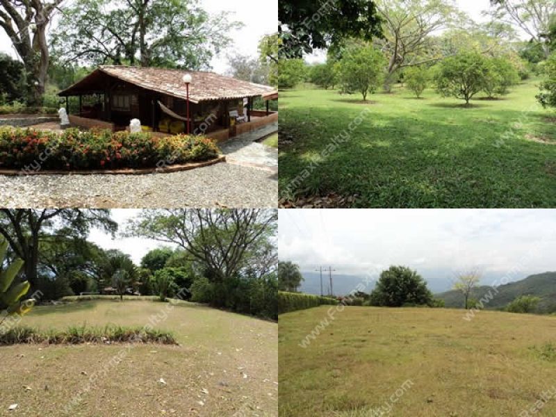 Farms for sale in  San Jernimo (Quimbaya) Cd. 101402