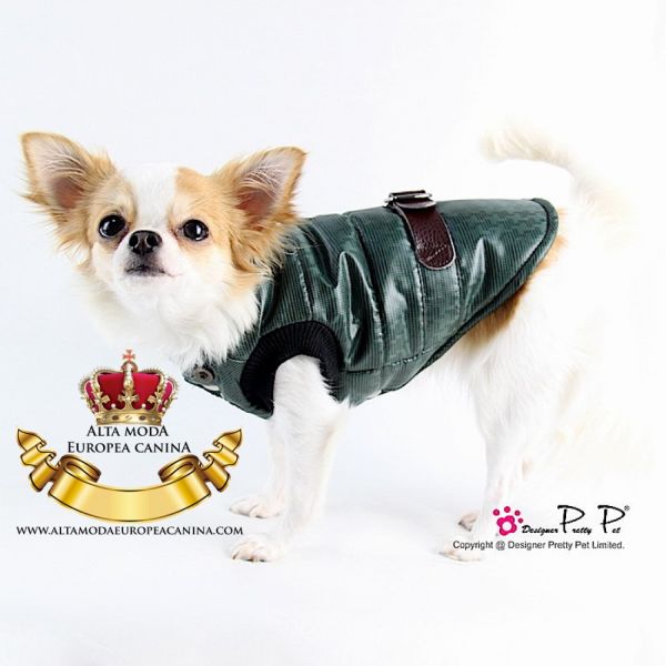 Ropa de Invierno para Perros en rebajas