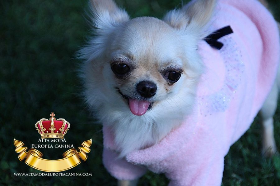 Jerseys para Perros, Ropa de Abrigo Perros