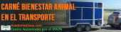 Carn Bienestar Animal en el Transporte