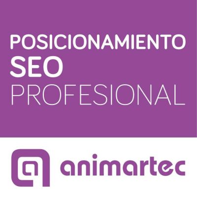 Posicionamiento SEO (en buscadores)