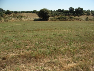 6500mt2. Rustica ideal Recreo