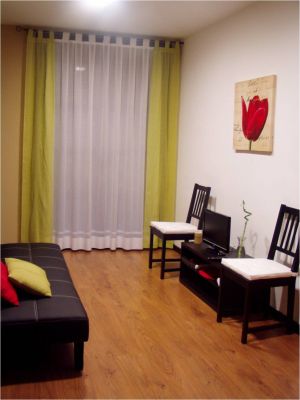 APARTAMENTOS EN ALQUILER PARA DAS, SEMANAS Y MESES.TOTALMENTE EQUIPADOS