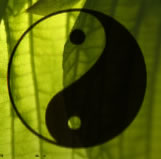 Acupuntura, Shiatsu, Reflexologia Podal, Reiki