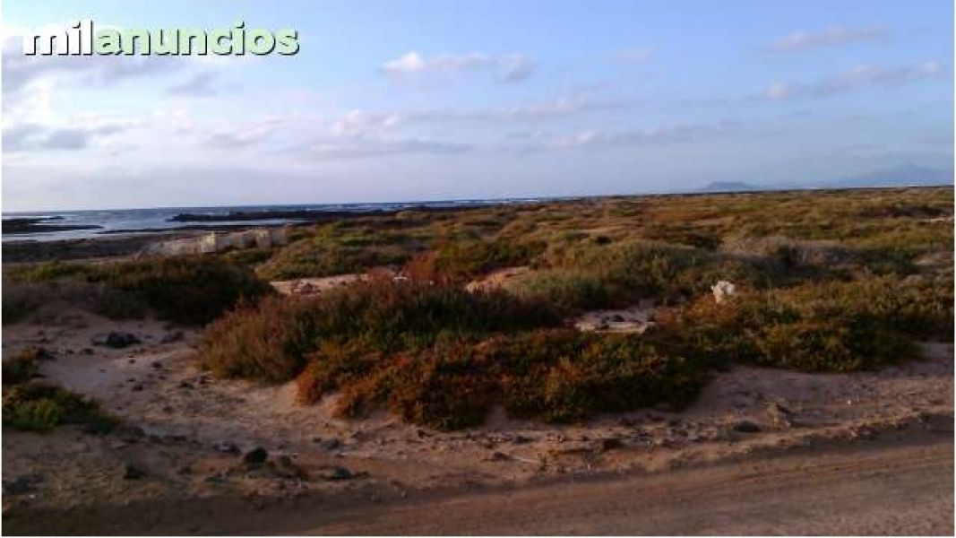 Parcelas rusticas en corralejo