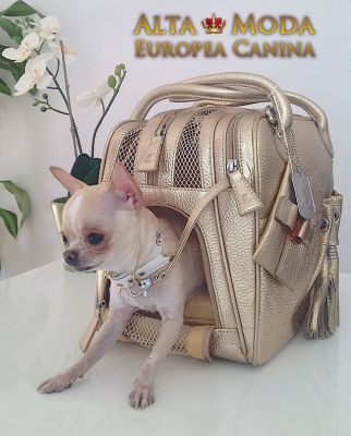 Bolsos de Viaje para Perros, Bolsos para viajar con tu perro