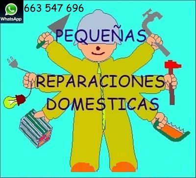Peque�as reparaciones dom�sticas.