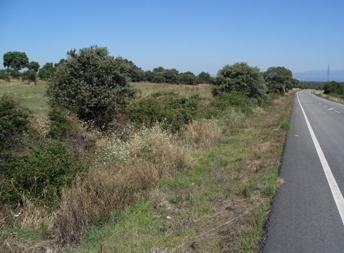 6500mt2. Lado Pueblo Recreo Negocio