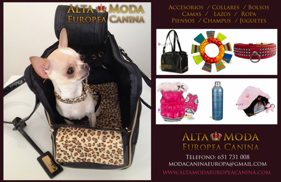 Alta Moda Europea Canina, Ropa y Accesorios Caninos