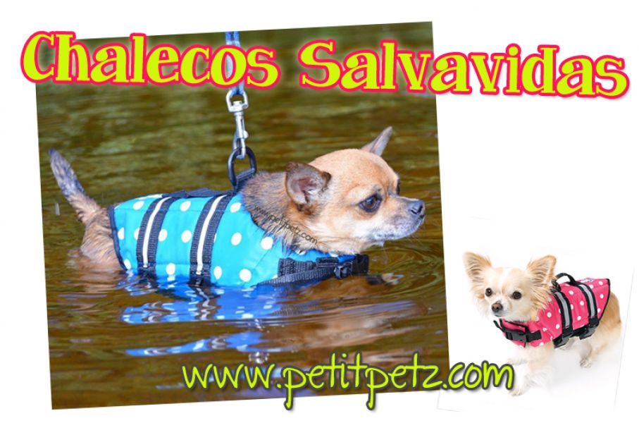 Chaleco Flotador Salvavidas perros pequeos