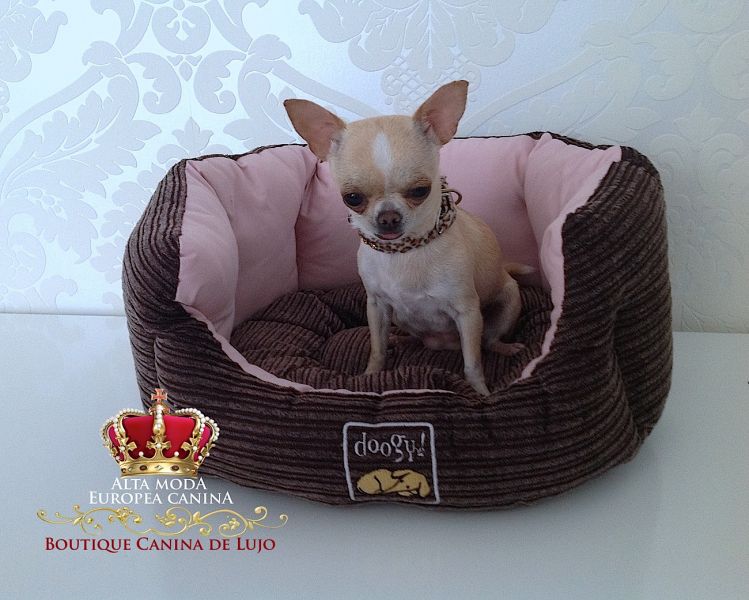 Camas para Perros, dormitorio canino