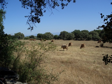 18000mt2 Rustica Recreo Negocio carretera