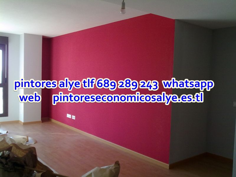 Pintores economicos en leganes 689 289 243 alye 