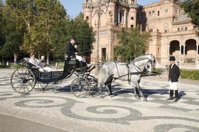 ALQUILER DE COCHES DE CABALLOS PARA BODAS EN SEVILLA.