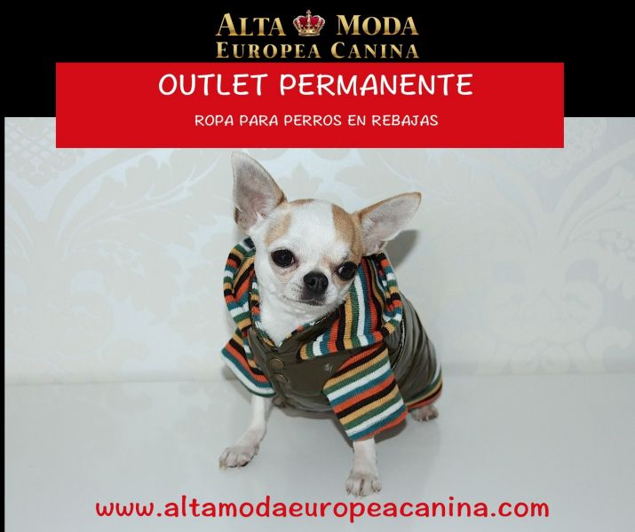 Outlet permanente Ropa Perros