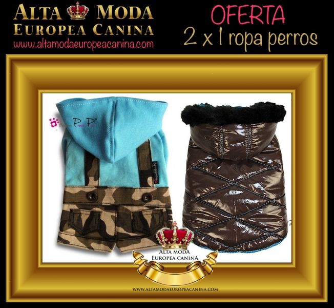 Ropa Perros en Oferta