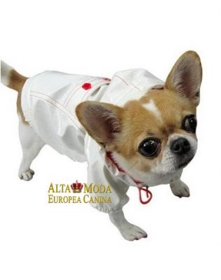 Ropa para perros, accesorios moda canina
