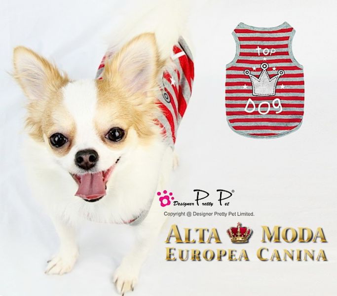 Primavera Verano en Ropa para Perros