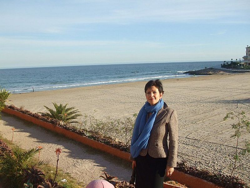 Busco casas, pisos y chalets en Costa Blanca y Torrevieja.